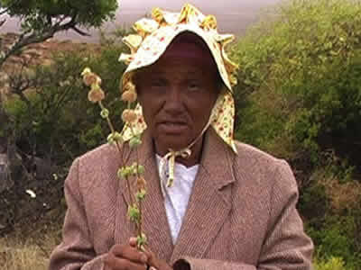 Woman with cat herb